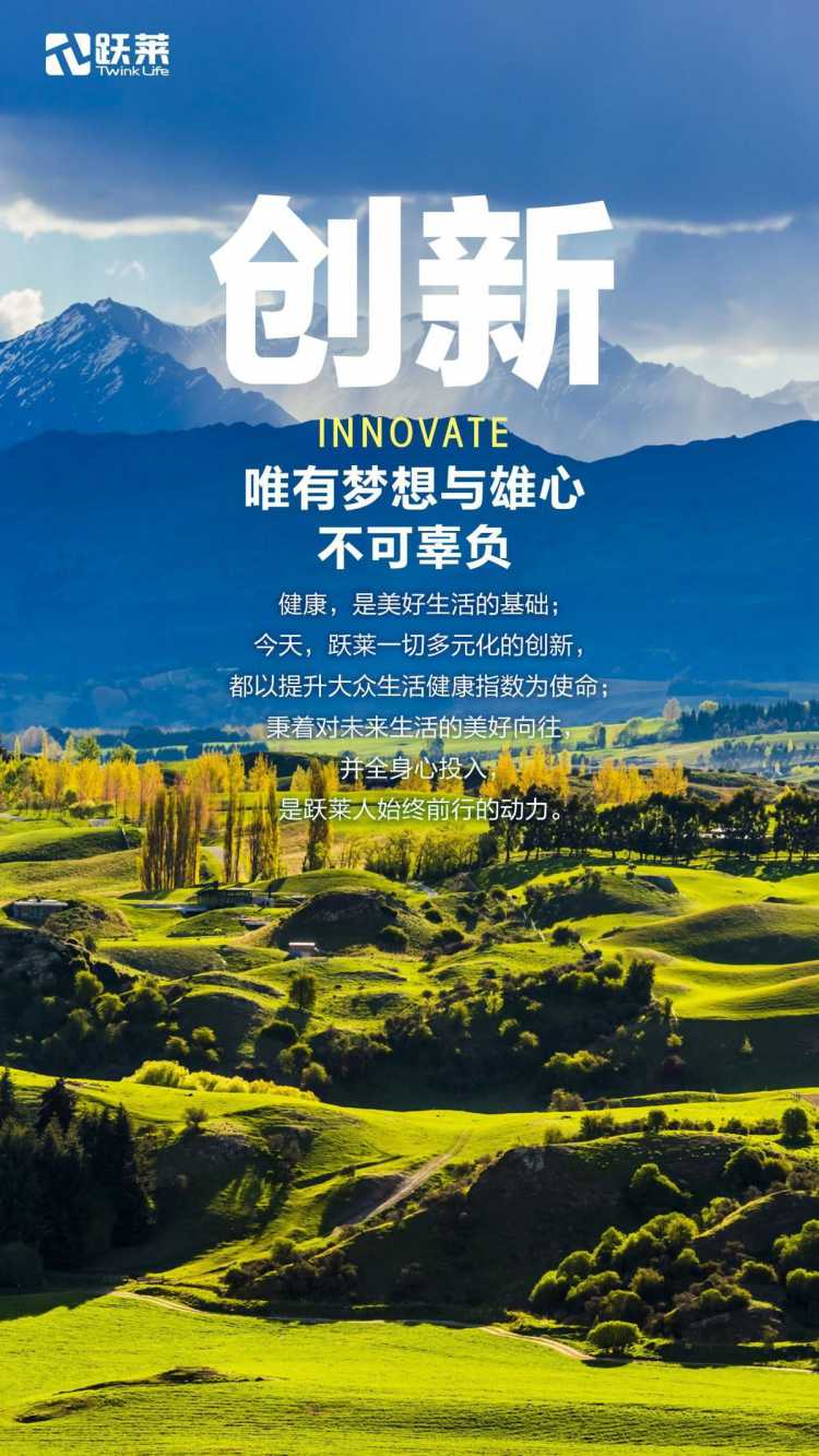 武汉跃莱公司企业愿景:成为市场永远的选择