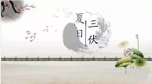 超长版三伏天终于结束 这个夏天到底有多热?
